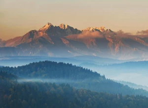 Oto Plan Od A Do Z Aby wypożyczyć meble W 10 Dni